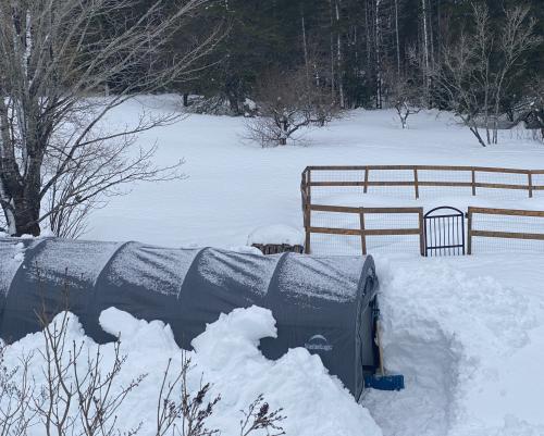 Digging Out Digging Out